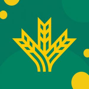 Logo Caja Rural Logo Caja Rural