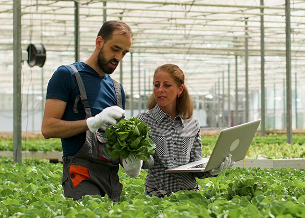 a man and woman in a greenhouse