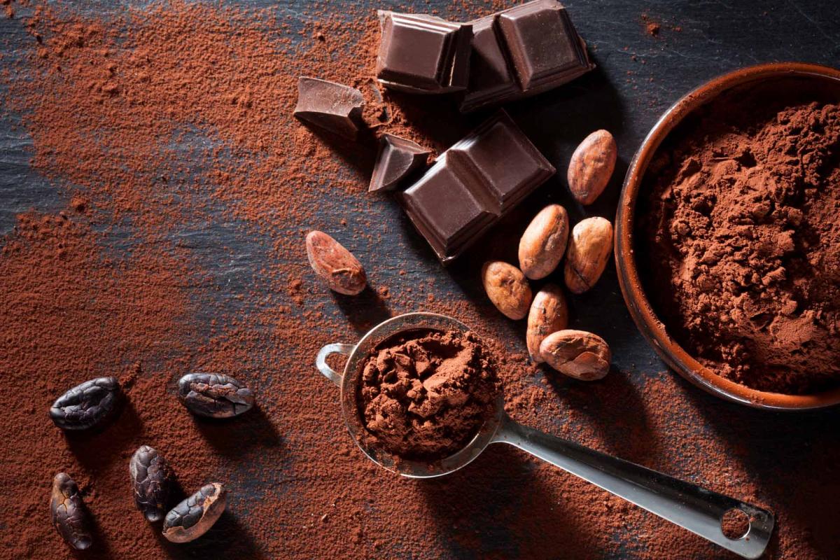 Granos de cacao y chocolate